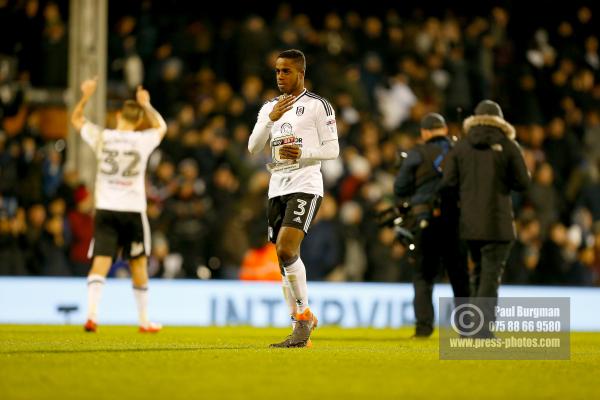 Fulham v Wolves 1041