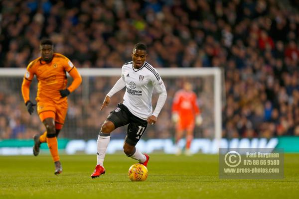 Fulham v Wolves 987