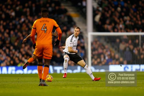 Fulham v Wolves 989