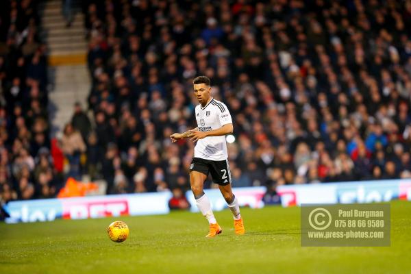 Fulham v Wolves 990