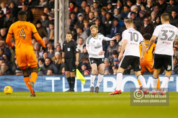 Fulham v Wolves 991