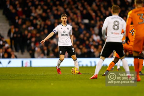 Fulham v Wolves 993