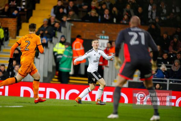 Fulham v Wolves 996